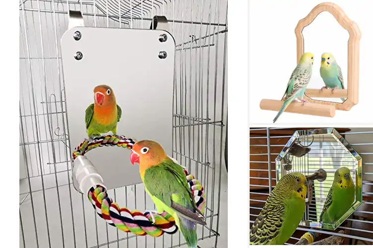 Detailed view of Best Bird Mirrors For Cages: 10 Top Picks for Endless Joy