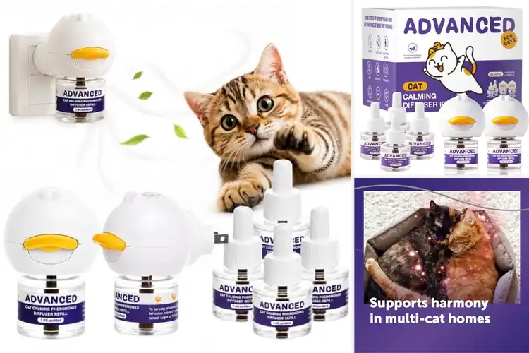 Detailed view of Best Cat Behavior Correction Diffusers