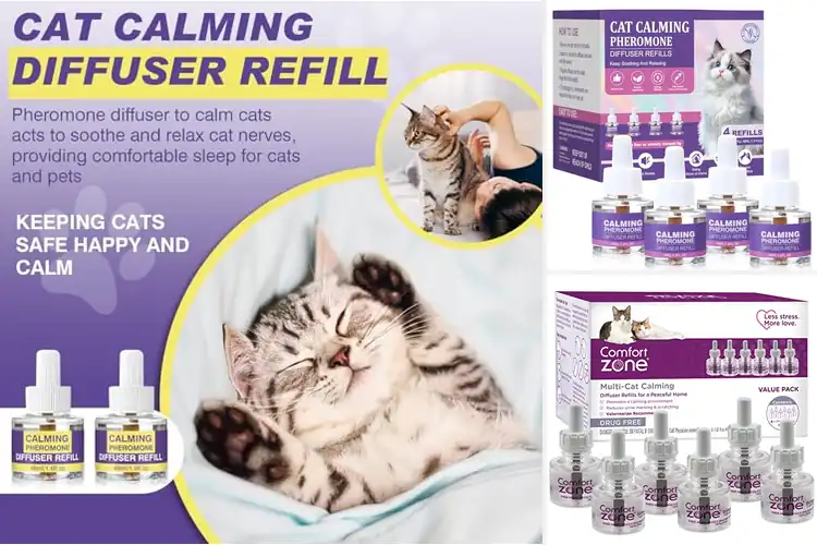 Detailed view of Best Cat Calming Refills for a Happier, More Relaxed Cat
