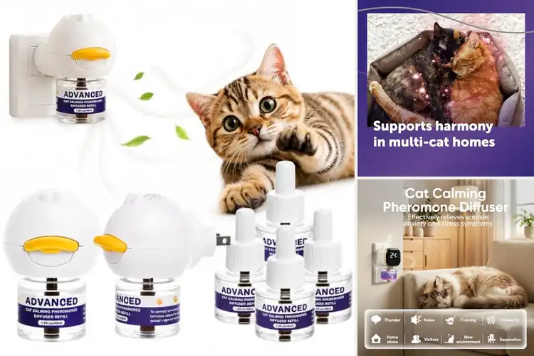 Detailed view of Best Cat Pheromone Diffusers: Top 10 Picks to Calm Your Cats