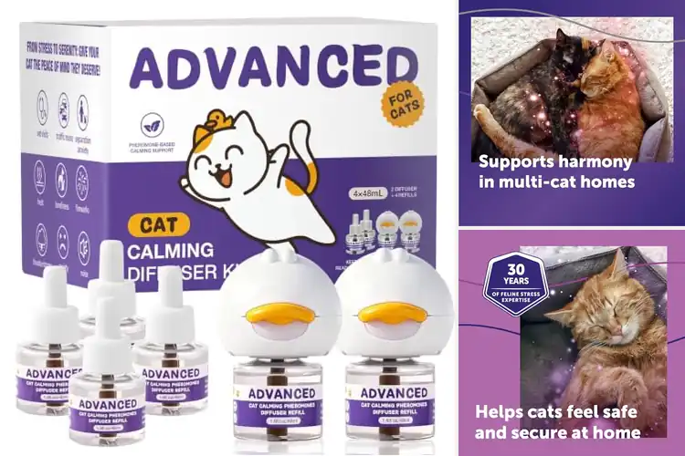 Detailed view of Best Cat Stress Relief Diffusers For Happy Cats