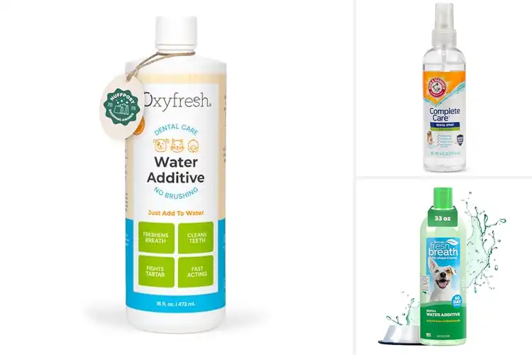 Detailed view of Best Dog Breath Fresheners for a Bright, Healthy Smile