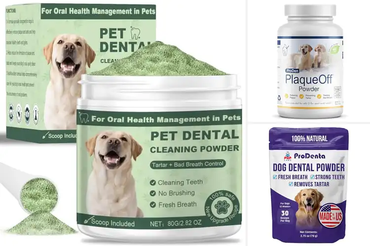 Detailed view of Best Dog Dental Powders