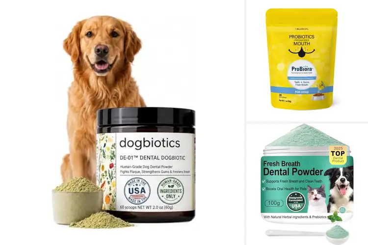 Detailed view of Best Dog Oral Microbiome Supplements