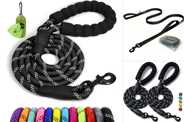 Detailed view of Best Heavy Duty Dog Leashes for Safe Walks