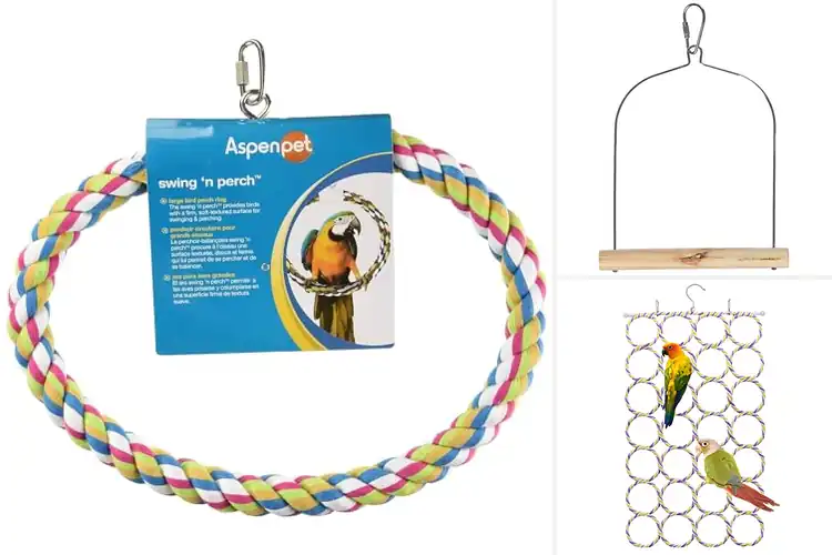 Detailed view of Best Parrot Hanging Swings