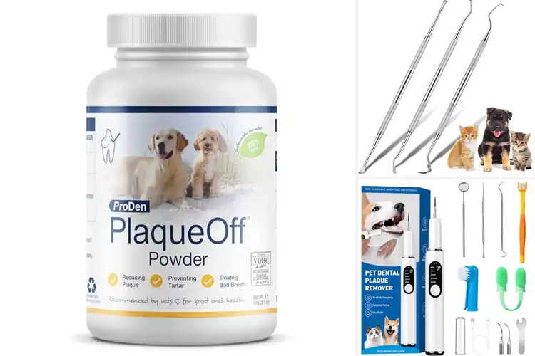 Detailed view of Best Plaque Removers For Dogs
