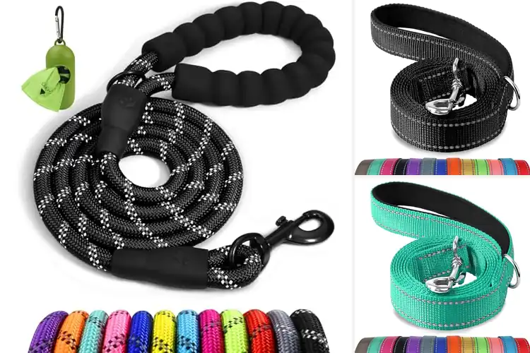 Detailed view of Best Six Foot Dog Leashes: Top 10 Picks for Walks
