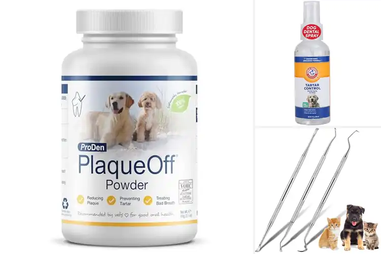 Detailed view of Best Tartar Removers For Dogs