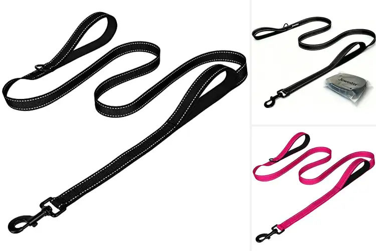 Detailed view of Best Traffic Handle Dog Leashes: Top 10 Picks for Safe Walks