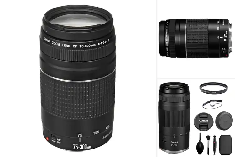 Detailed view of Best Zoom Lenses: Top 10 Picks for Stunning Photography